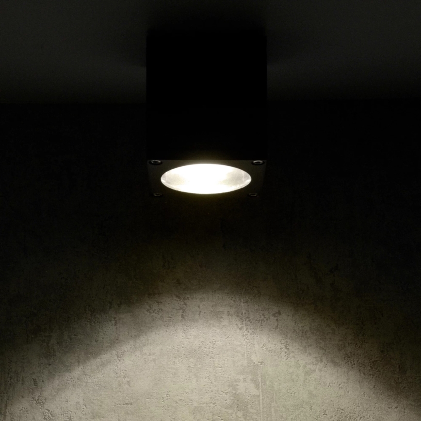 Wandlamp voor buiten MORRIS 1xGU10/35W/230V IP54