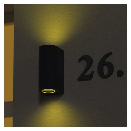 Wandlamp voor buiten OCULUS 2xGU10/7W/230V IP44