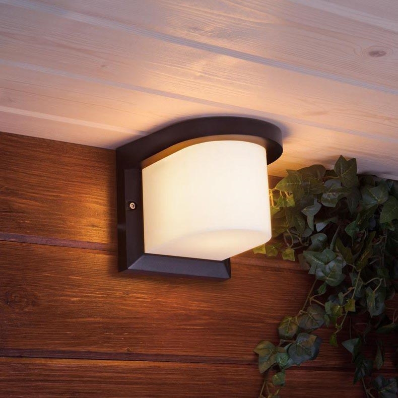 Wandlamp voor buiten PETUNIA 1xE27/60W/230V IP44 antraciet