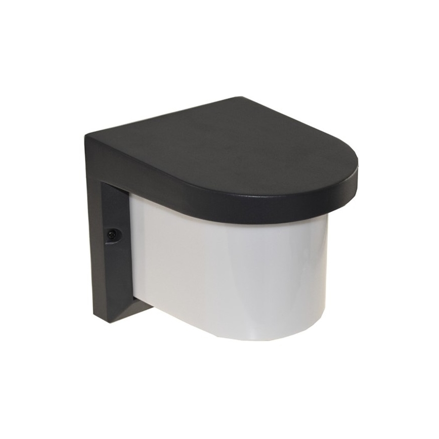 Wandlamp voor buiten PETUNIA 1xE27/60W/230V IP44 antraciet