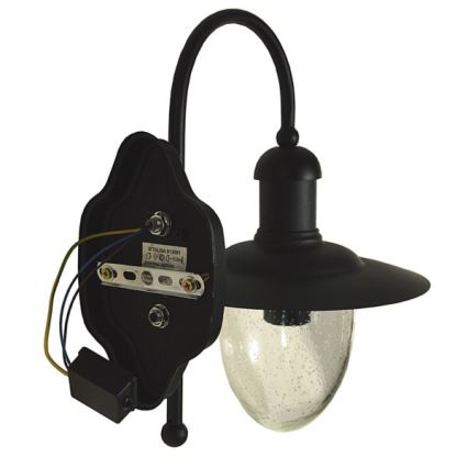 Wandlamp voor buiten TALISA 1xE27/60W/230V IP44 zwart