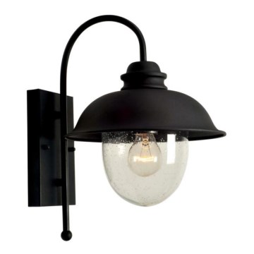 Wandlamp voor buiten ZUNA 1xE27/60W/230V IP44 zwart