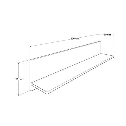 Wandplank 25x120 cm paars