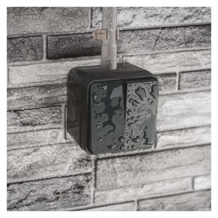 Wandschakelaar 2-knops wisselschakelaar nr. 6+6 IP55 antraciet