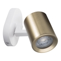 Wandspot LAURIN 1xGU10/10W/230V messing/wit