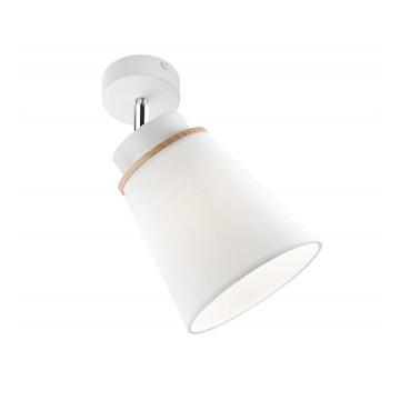 Wandspots AGUSTINO 1xE27/60W/230V wit