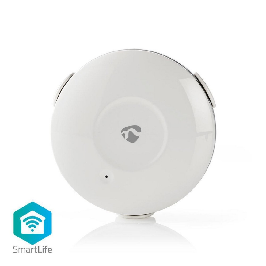Waterlekdetector 3V/1xCR123A + 1xCR2/20dBm Wi-Fi