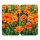 WENKO 2521434500-Afdekplaat BLOEM/PLANT 30x52 cm veelkleurig
