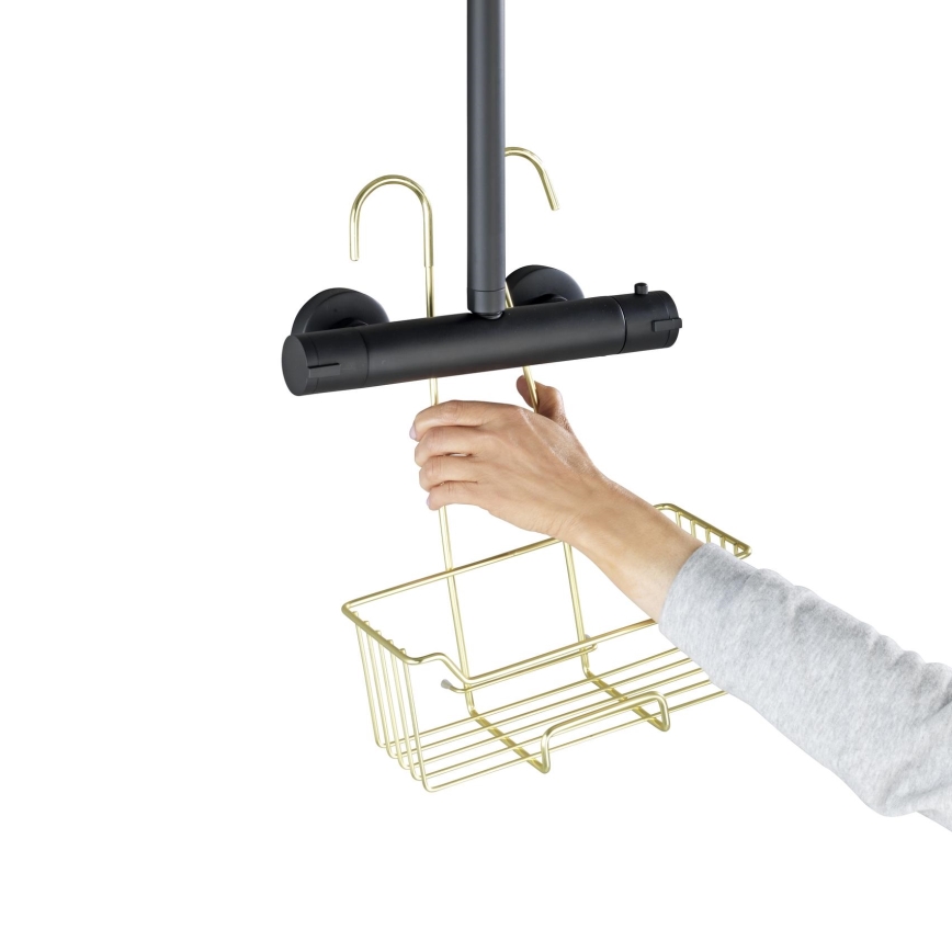 WENKO 25937100 - Douchekorf MILO 25x36 cm RVS/goud/transparant