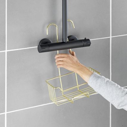 WENKO 25937100 - Douchekorf MILO 25x36 cm RVS/goud/transparant