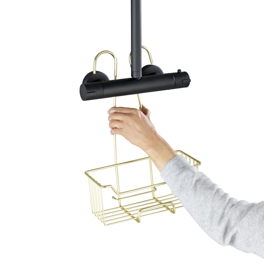 WENKO 25937100 - Douchekorf MILO 25x36 cm RVS/goud/transparant