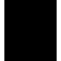 WENKO 53881100 - Douchewand BLACK 60x70 cm zwart