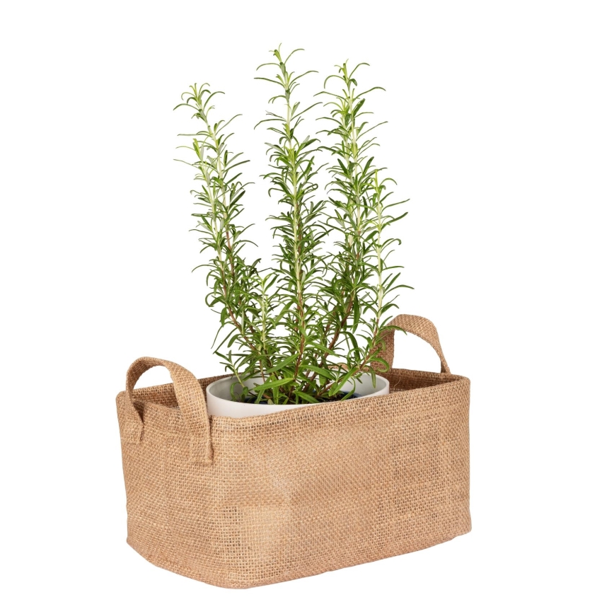 WENKO 64471100 - Opbergmand JUNA 24x17 cm bruin