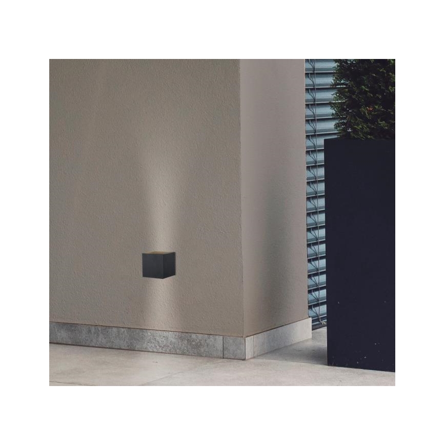 Westinghouse 61149 - LED Wandlamp voor buiten FREYA 2xLED/4,5W/230V IP44 zwart