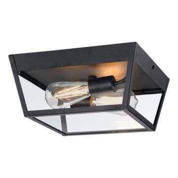 Westinghouse 61219 - Plafondlamp voor buiten PETERSON 2xE27/40W/230V IP44