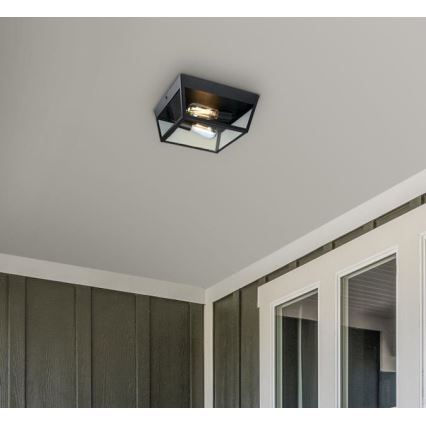 Westinghouse 61219 - Plafondlamp voor buiten PETERSON 2xE27/40W/230V IP44