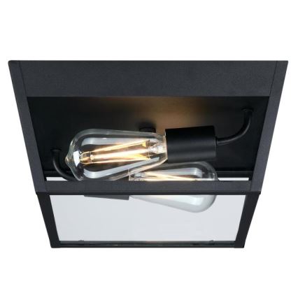 Westinghouse 61219 - Plafondlamp voor buiten PETERSON 2xE27/40W/230V IP44