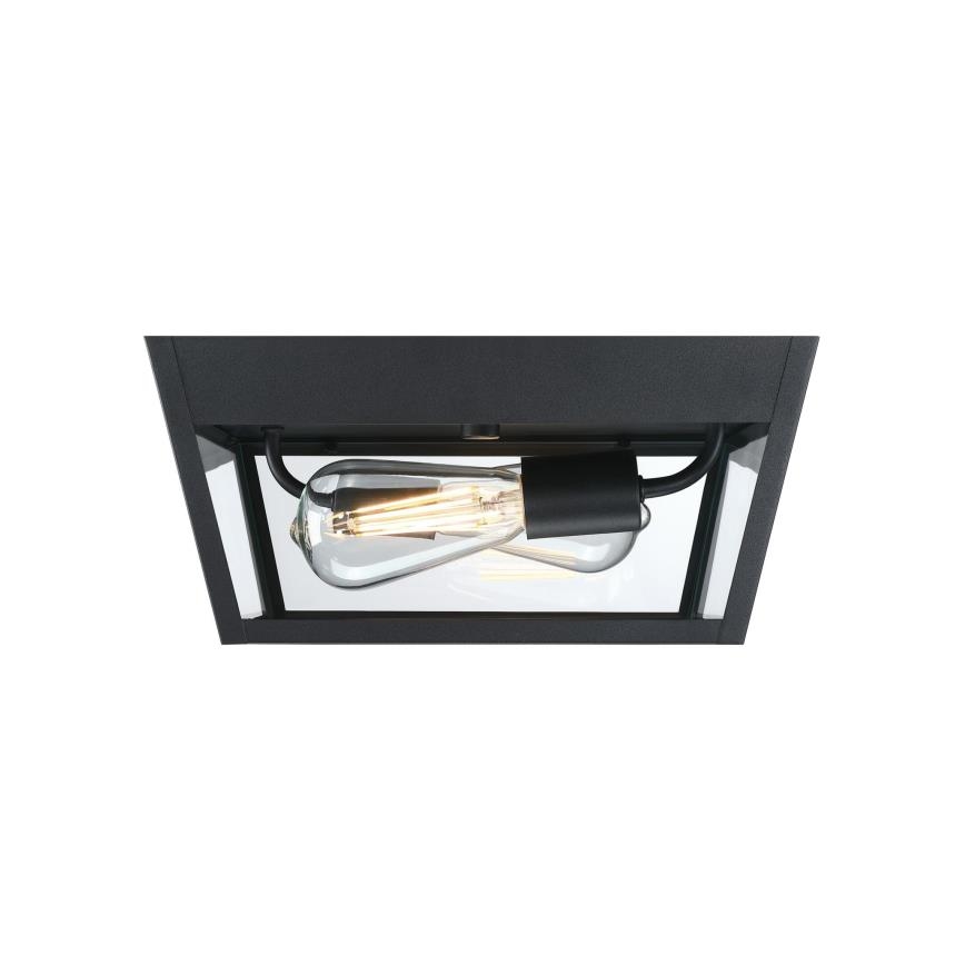 Westinghouse 61219 - Plafondlamp voor buiten PETERSON 2xE27/40W/230V IP44