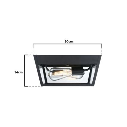 Westinghouse 61219 - Plafondlamp voor buiten PETERSON 2xE27/40W/230V IP44
