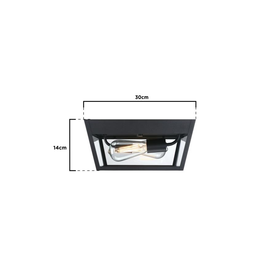 Westinghouse 61219 - Plafondlamp voor buiten PETERSON 2xE27/40W/230V IP44