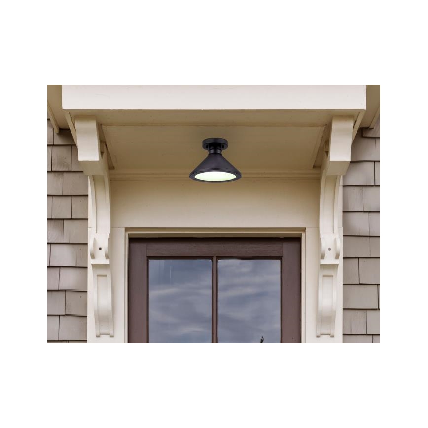 Westinghouse 61238 - Plafondlamp voor buiten WALTER 1xE27/60W/230V IP44