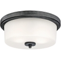 Westinghouse 6325140 - Plafondlamp CEDRIC 2xE27/40W/230V diam. 33 cm