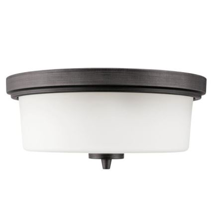 Westinghouse 6325140 - Plafondlamp CEDRIC 2xE27/40W/230V diam. 33 cm