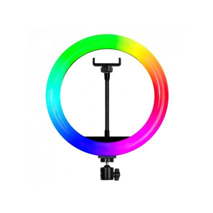 Winner Group - LED RGB dimbare vloerlamp met statief en houder voor vloggen LED/10W/5V
