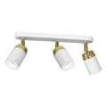Wit Goudkleurige Spot Verlichting RENO 3x GU10 / 60W / 230V