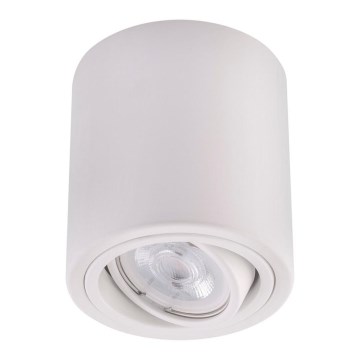 Witte LED Spotlamp TUBA 1x GU10 / 5W / 230V 2700K