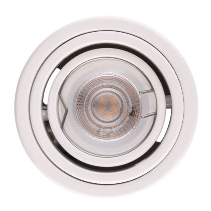 Witte LED Spotlamp TUBA 1x GU10 / 5W / 230V 2700K