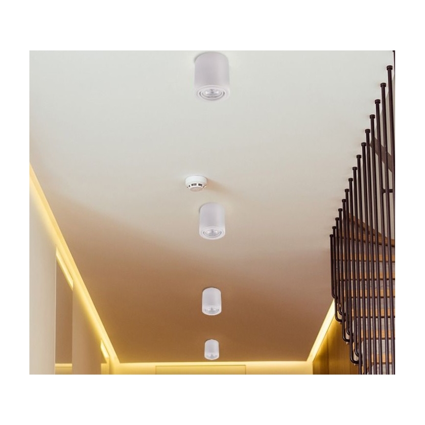 Witte LED Spotlamp TUBA 1x GU10 / 5W / 230V 4000K