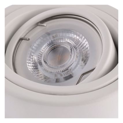 Witte LED Spotlamp TUBA 1x GU10 / 5W / 230V 4000K