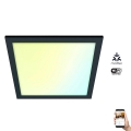 WiZ - Dimbare LED Plafondlamp SUPERSLIM LED/12W/230V 2700-6500K Wi-Fi zwart