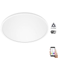 WiZ - LED RGB Dimbaar Plafondlamp SUPERSLIM LED/22W/230V 2700-6500K Wi-Fi wit