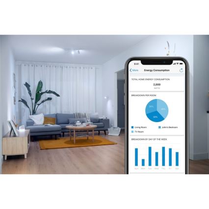 WiZ - Slim stopcontact F 2300W + powermeter Wi-Fi SCHUKO