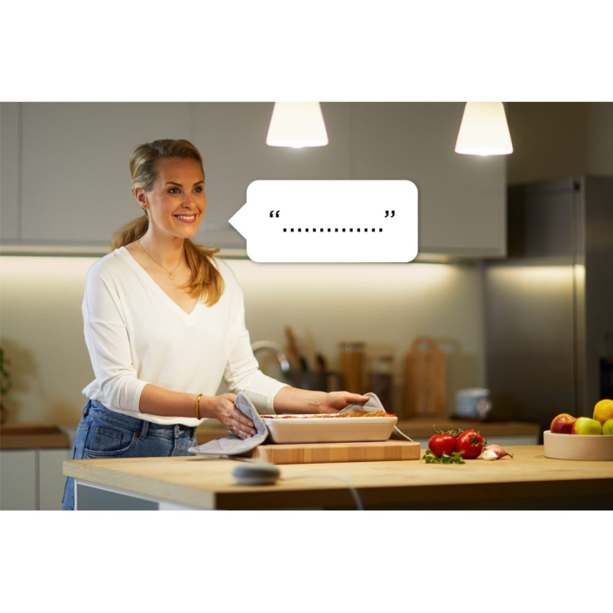 WiZ - Slim stopcontact F 2300W + powermeter Wi-Fi SCHUKO