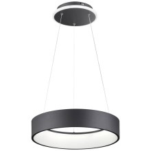 Wofi 11487FW - LED dimbare hanglamp aan snoer SHAY LED/31,5W/230V 3000K zwart