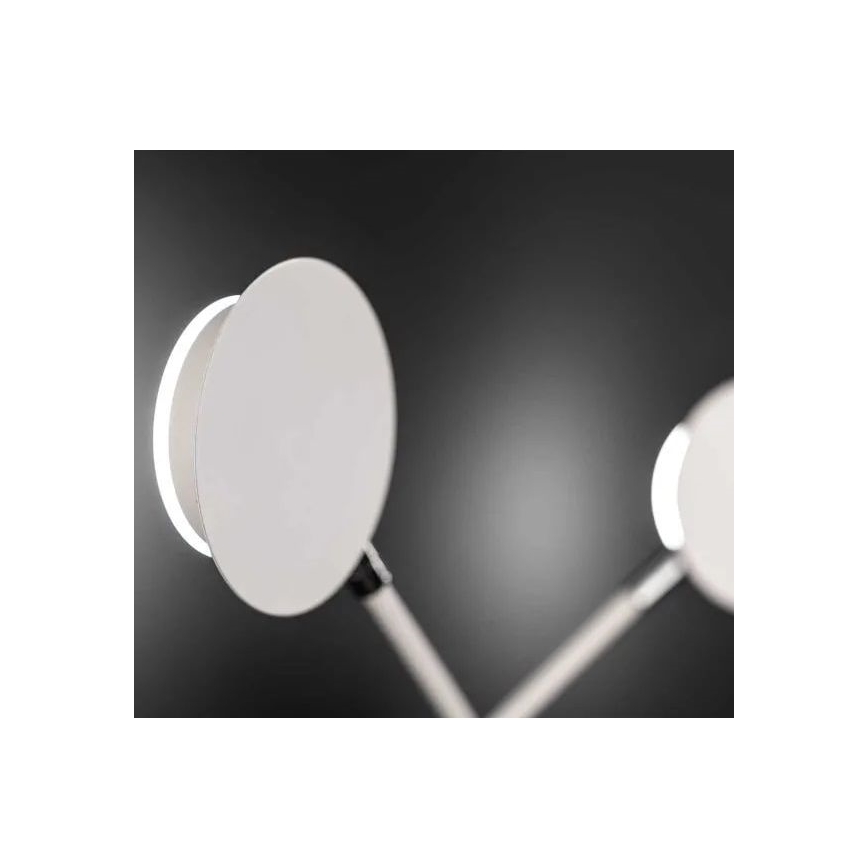 Wofi 446602069000 - LED Wandlamp BELIZE 2xLED/5W/230V 3000K wit