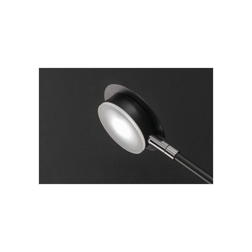 Wofi 446604109000 - LED Wandlamp BELIZE 4xLED/5W/230V 3000K zwart