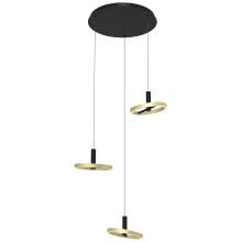 Wofi 5016-304 - Dimbare LED hanglamp aan een koord BREST LED/26W/230V zwart/goud