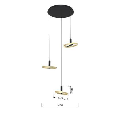 Wofi 5016-304 - Dimbare LED hanglamp aan een koord BREST LED/26W/230V zwart/goud