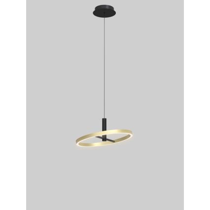 Wofi 6016-104L - Dimbare LED-hanglamp aan kabel BREST LED/19W/230V Ø 42 cm zwart/goud