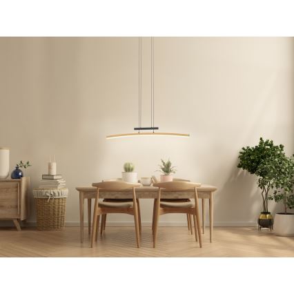 Wofi 7020-106 - Dimbare LED hanglamp aan een koord BOLOGNA LED/27W/230V