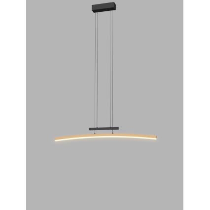 Wofi 7020-106 - Dimbare LED hanglamp aan een koord BOLOGNA LED/27W/230V