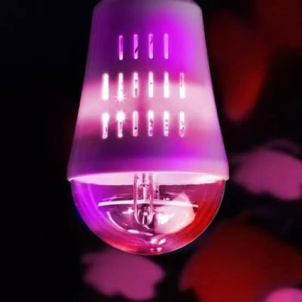 Wofi 9744 - LED Sierlamp VLINDER E27/4W/230V
