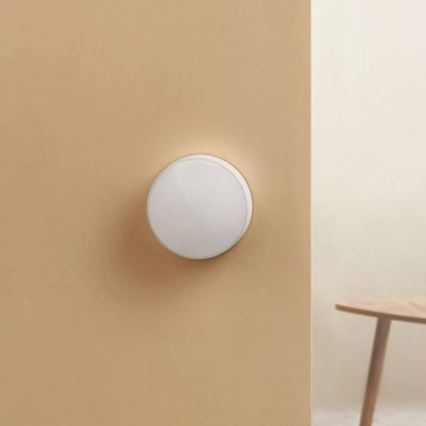 Xiaomi - Licht Detectie Sensor MI CR2450 ZigBee