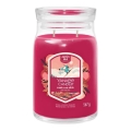 Yankee Candle - Geurkaars SANTA ON SKIS groot 567g 60-90 uur.