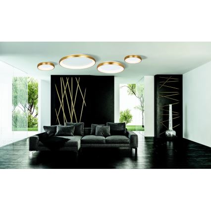 Zambelis 2042 - Dimbare LED Plafondlamp LED/30W/230V diameter 40 cm goud