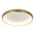 Zambelis 2050 - Dimbare LED Plafondlamp LED/50W/230V diameter 60 cm goud